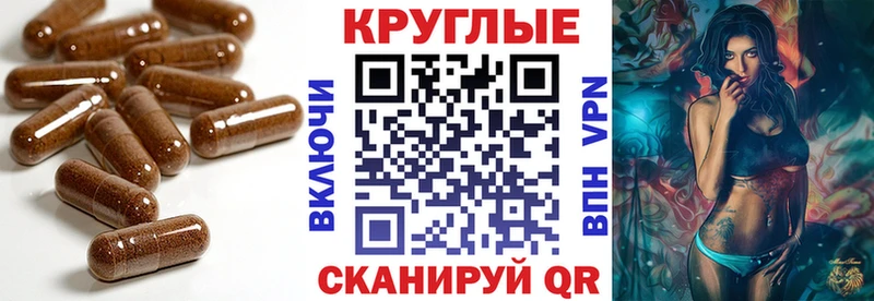 Купить закладки  Нестеров  ЭКСТАЗИ XTC 