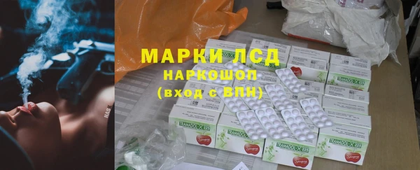 гашик Карпинск