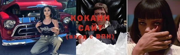 гашик Карпинск