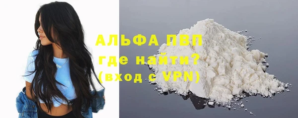 гашик Карпинск
