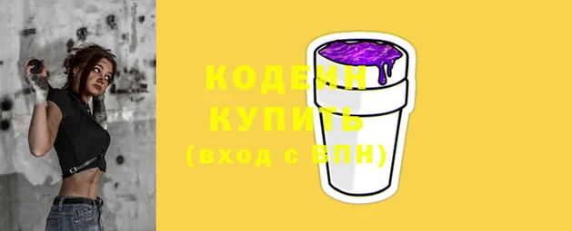 гашик Карпинск
