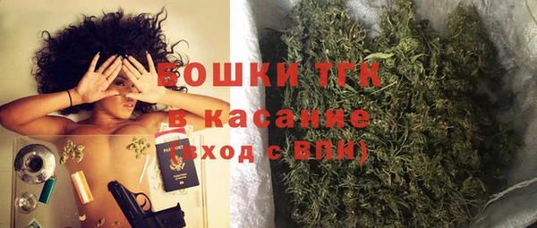 гашик Карпинск