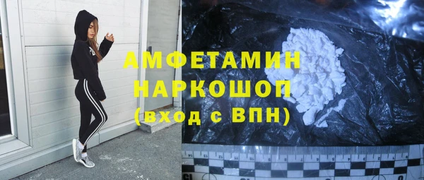 гашик Карпинск