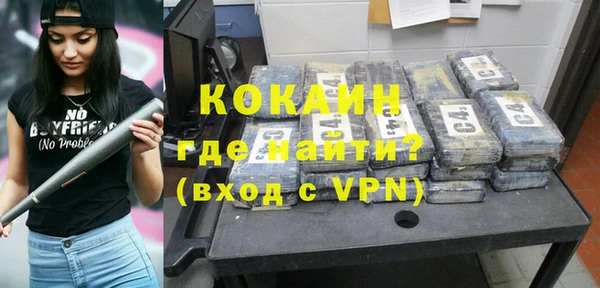 гашик Карпинск