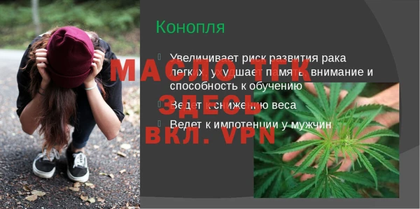 гашик Карпинск
