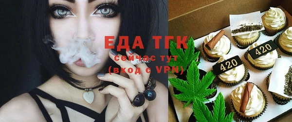 гашик Карпинск