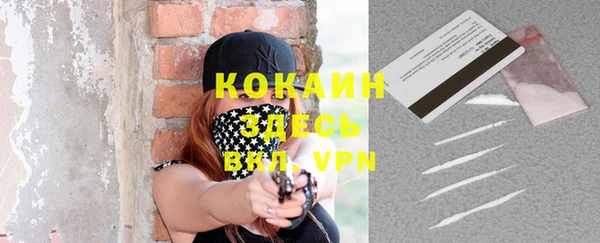 гашик Карпинск